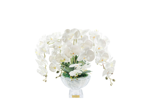 Luxury Centrepiece - Orchid Ivory White & Gold Badge - CPO01