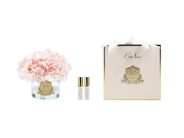 Cote Noire Perfumed Natural Touch Hydrangeas - Pink Blush - Pink Box - GMH88