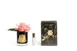 Cote Noire Perfumed Natural Touch Single Rose - Black - Peach - GMRB05