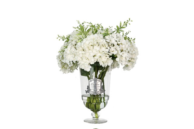 côte noire ** NEW ** Grand Summer Hydrangea White - GSH01