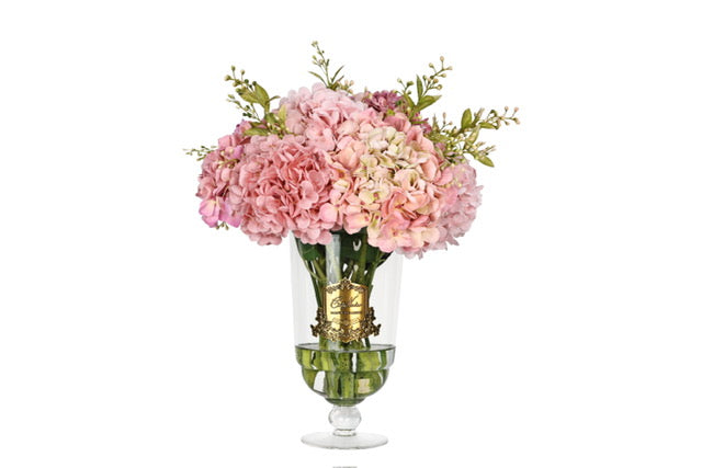 côte noire ** NEW ** Grand Summer Hydrangea Champagne Pink - GSH03