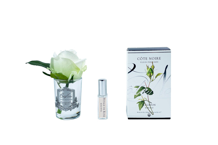 côte noire **NEW** Cote Noire Perfumed Natural Touch Rose Bud - Clear - Green - GMR49