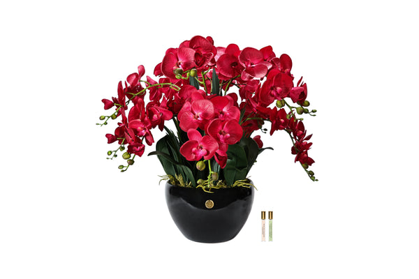 NEW Cote Noire Luxury Grand Orchid Bouquet - Red in Black Ceramic Vase - GO14