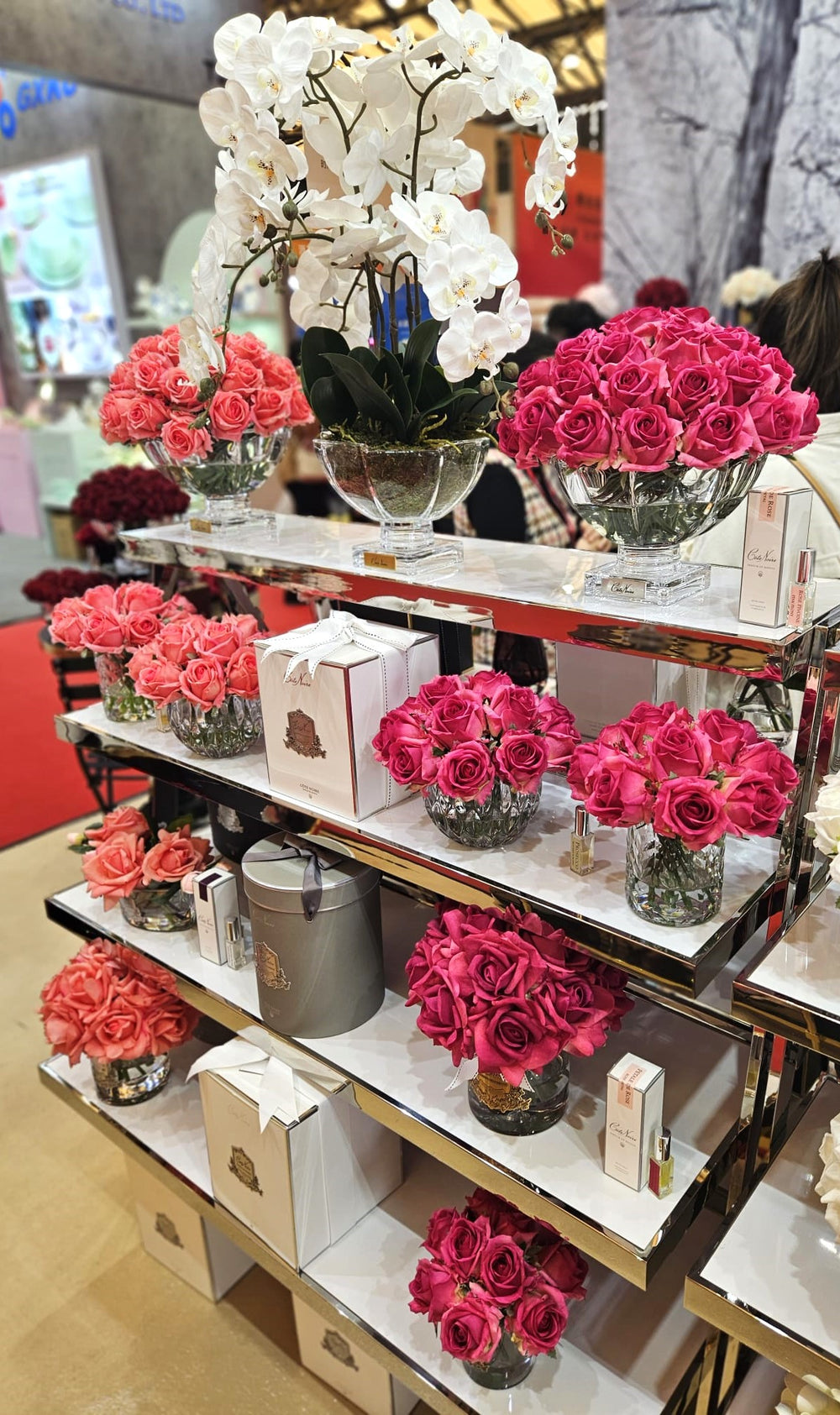 NOEVIR Dramatic Roseセット Buy Coconut Milk Rose Natural Beauty Kit Online - Style ID