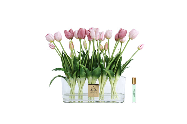 NEW - Cote Noire Oval Tulips - Pink- OT02