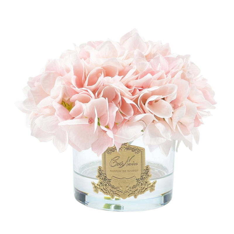 Cote Noire Perfumed Natural Touch Hydrangeas - Pink Blush - Pink Box - GMH88