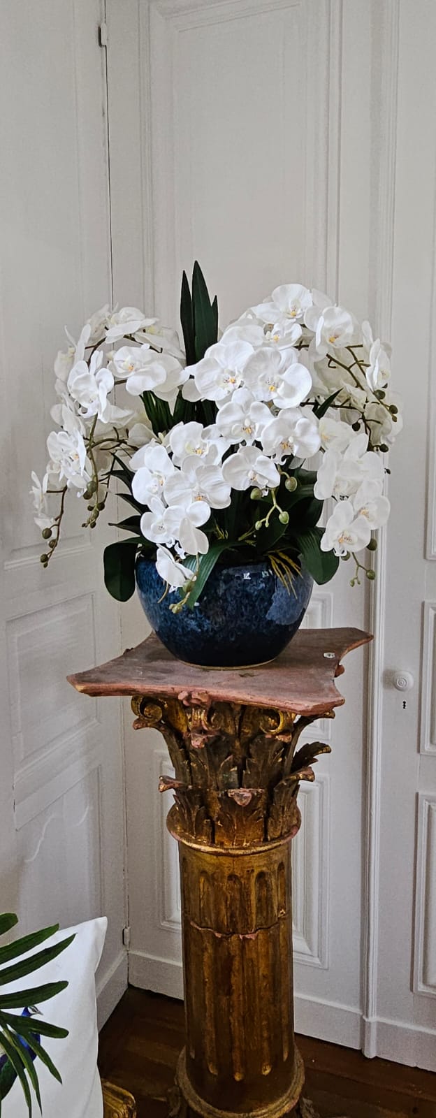 Cote Noire Luxury Giant Orchid Bouquet - White in Ceramic Vase - GO01