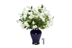 NEW - Cote Noire - Imperial Bougainvillea - Indigo Urn with White - IMPWB01