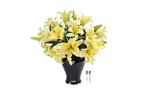 NEW - Cote Noire Imperial Lilies - Yellow - IMPL08
