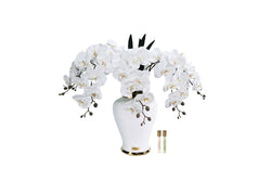 NEW - Cote Noire Imperial Orchid - White - IMPO01