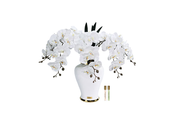 NEW - Cote Noire Imperial Orchid - White - IMPO01