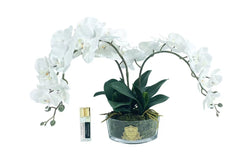 ** NEW ** Cote Noire Orchid Bouquet - White & Gold Badge - OOV01