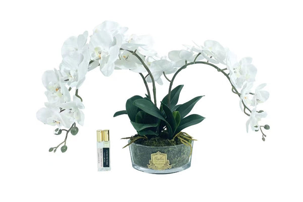 ** NEW ** Cote Noire Orchid Bouquet - White & Gold Badge - OOV01