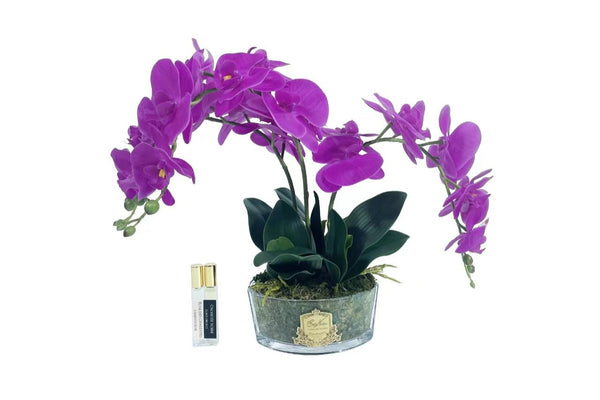 ** NEW ** Cote Noire Orchid Bouquet - Fuchsia & Gold Badge - OOV09