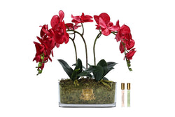 NEW - Cote Noire Oval ORCHID - Red - OOV14