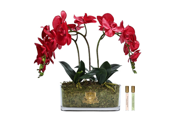 NEW - Cote Noire Oval ORCHID - Red - OOV14