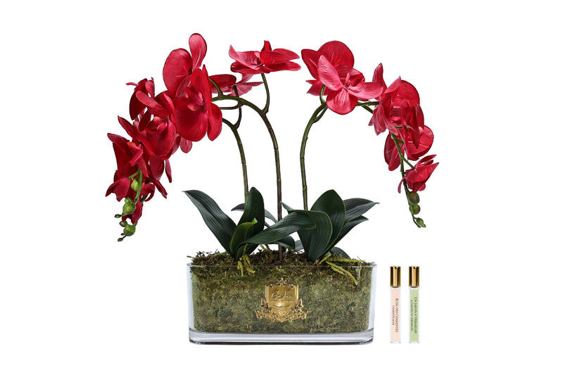 NEW - Cote Noire Oval ORCHID - Red - OOV14