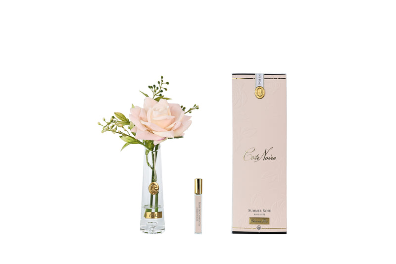 *New* Summer Rose Champagne Pink - Gold Badge - SRG18