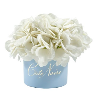 ** CLEARANCE ** Cote Noire Perfumed Natural Touch Ivory White Hydrangeas in pastel blue vase - CCNH01