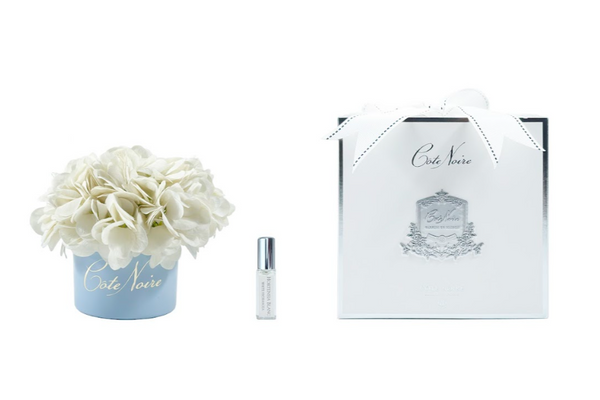 ** CLEARANCE ** Cote Noire Perfumed Natural Touch Ivory White Hydrangeas in pastel blue vase - CCNH01