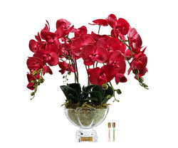 Cote Noire Luxury Orchid Centrepiece Bouquet - Red & Gold Badge - CPO14