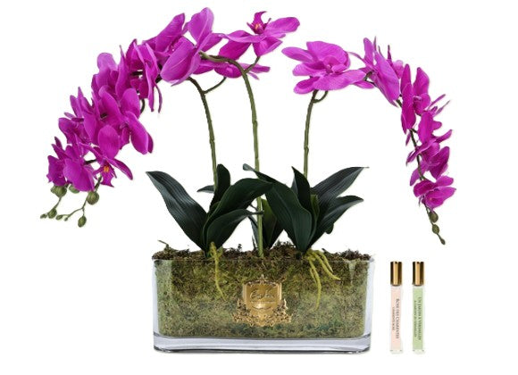 ** NEW ** Cote Noire Orchid Bouquet - Fuchsia & Gold Badge - OOV09