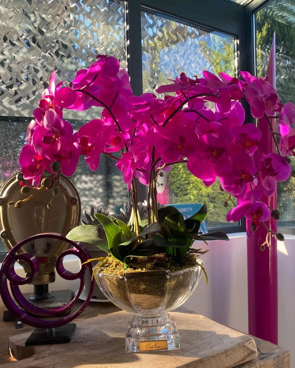 Cote Noire Luxury Orchid Centrepiece Bouquet - Fuchsia & Gold Badge - CPO09