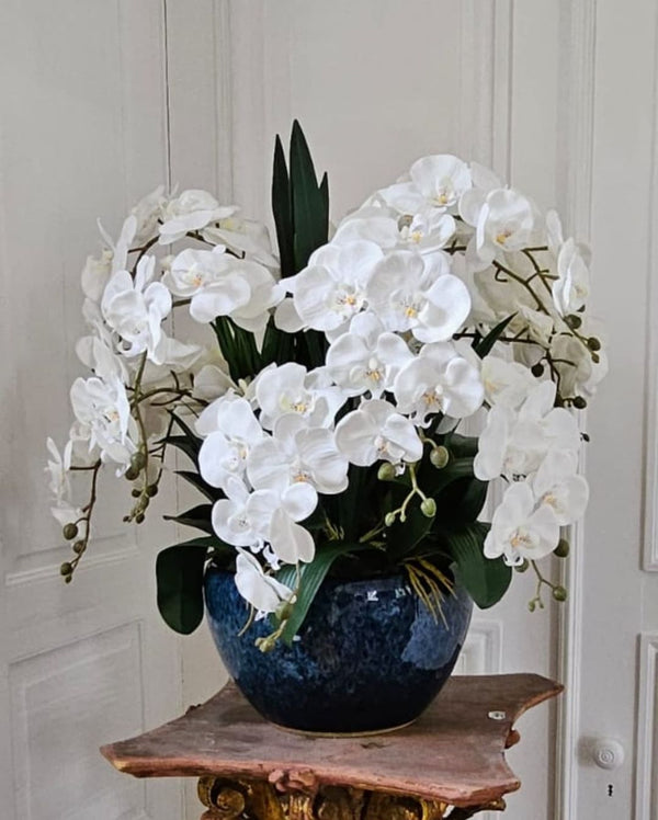 Cote Noire Luxury Giant Orchid Bouquet - White in Ceramic Vase - GO01