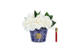 NEW - Cote Noire Vintage - Gardenia - VG01