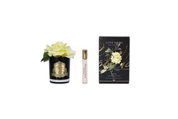 *NEW* Cote Noire Perfumed Natural Touch Single Rose - Clear - Yellow - GMRB08