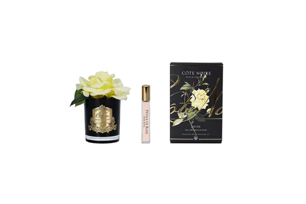 *NEW* Cote Noire Perfumed Natural Touch Single Rose - Clear - Yellow - GMRB08