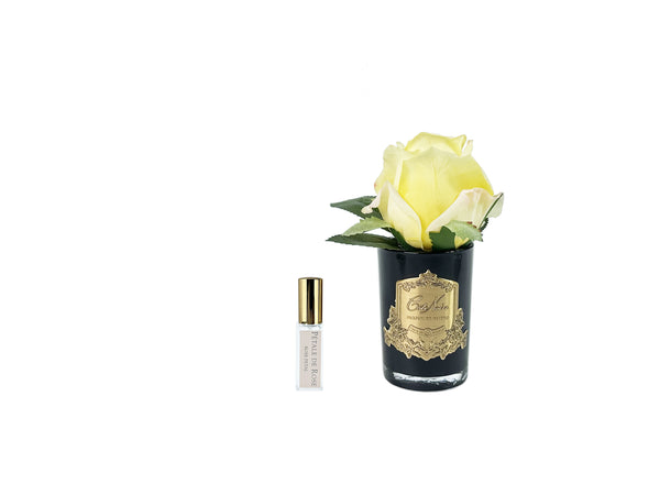 * NEW * CÔTE NOIRE PERFUMED NATURAL TOUCH ROSE BUD - CLEAR - Yellow- GMRB48
