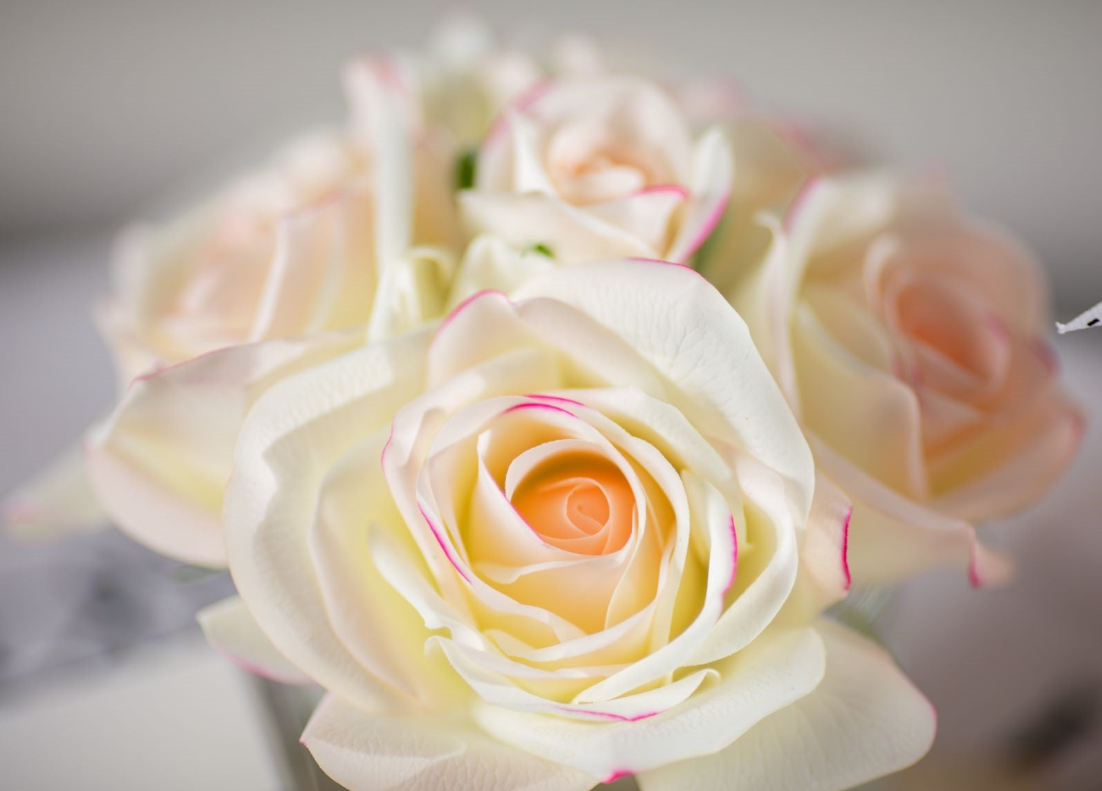 COTE NOIRE - PINK BLUSH ROSES-SILVER BADGE