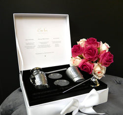 NEW Luxury Gift set with Silver candle snuffer & wick trimmer - White - Winter in the Chateau - GFA04