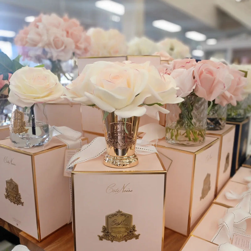 Cote Noire - Seven Rose Bouquet in Pink Blush Pink Box GOLD Vase - SMB20