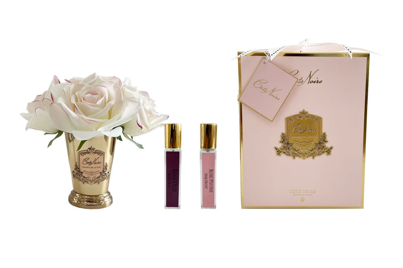 Cote Noire - Seven Rose Bouquet in Pink Blush Pink Box GOLD Vase - SMB20