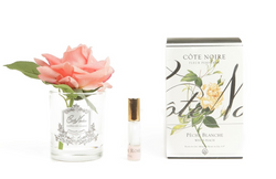 Cote Noire Perfumed Natural Touch Single Rose - Clear - Peach - GMR05