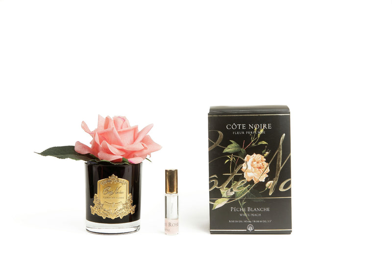 Cote Noire Perfumed Natural Touch Single Rose - Black - White Peach - GMRB05